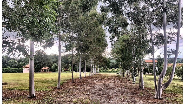 Sítio com Piscina e Área de Lazer Completa